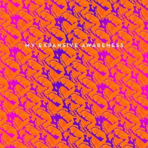 MY EXPANSIVE AWARENESS - Do You Wanna Be Rich? / I'm Dead